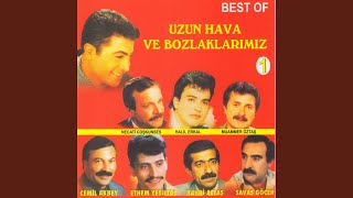 Usandım
