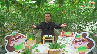 2025斗六絲瓜節美食週宣傳，官方攝影：田中馬拉松拍攝團隊\/創意實踐家官方攝影\/樂福國際\/求婚企劃\/活動錄影\/商業攝影\/百場以上政府機關攝影\/六百場以上馬拉松賽事拍攝團隊\/運動賽事拍攝團隊