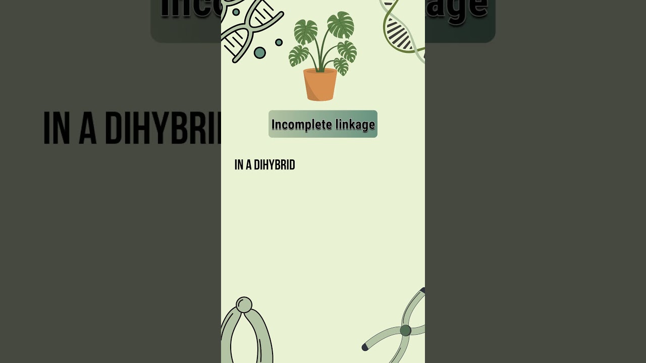 Neet Genetics MCQ's | NEET Questions | Biology | Genetics 