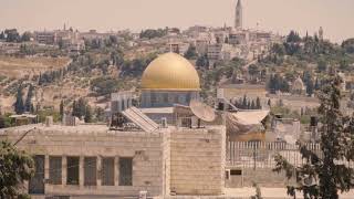 Free Free Pales tine🇦🇪 ,and Boycott product of israel