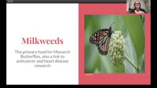 Celebrity WHY BUTTERFLIES ARE IMPORTANT FOR THE ENVIRONMENT Wealth