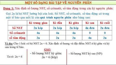 Bài tập nguyên phân lớp 10 bài 18 năm 2024