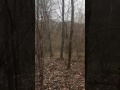 Vid 2 Retracing Libby and Abby's steps Monon High Bridge