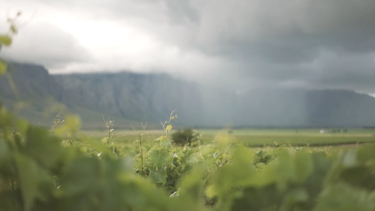 Introducing the Breedekloof Unexpected