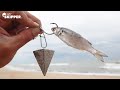 Small bait catches BIG FISH! Best bait for Beach fishing!