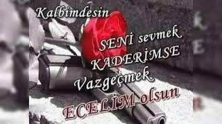 Ali̇ Nurşani̇ Alişamadim