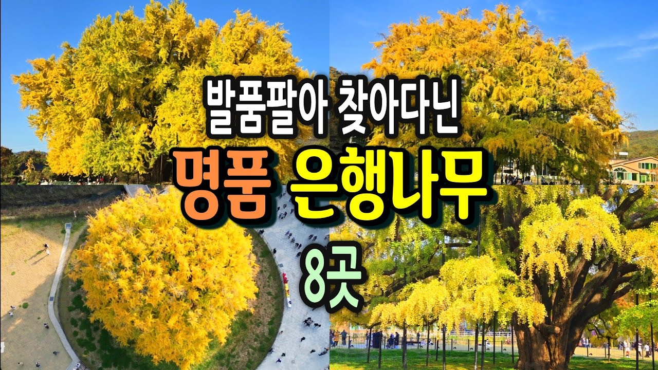 방문시기는? ㅣ세월의 무게를 담은 장엄한 풍경