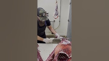 Removing the neck from the deer carcass.🔪🦌 #shorts