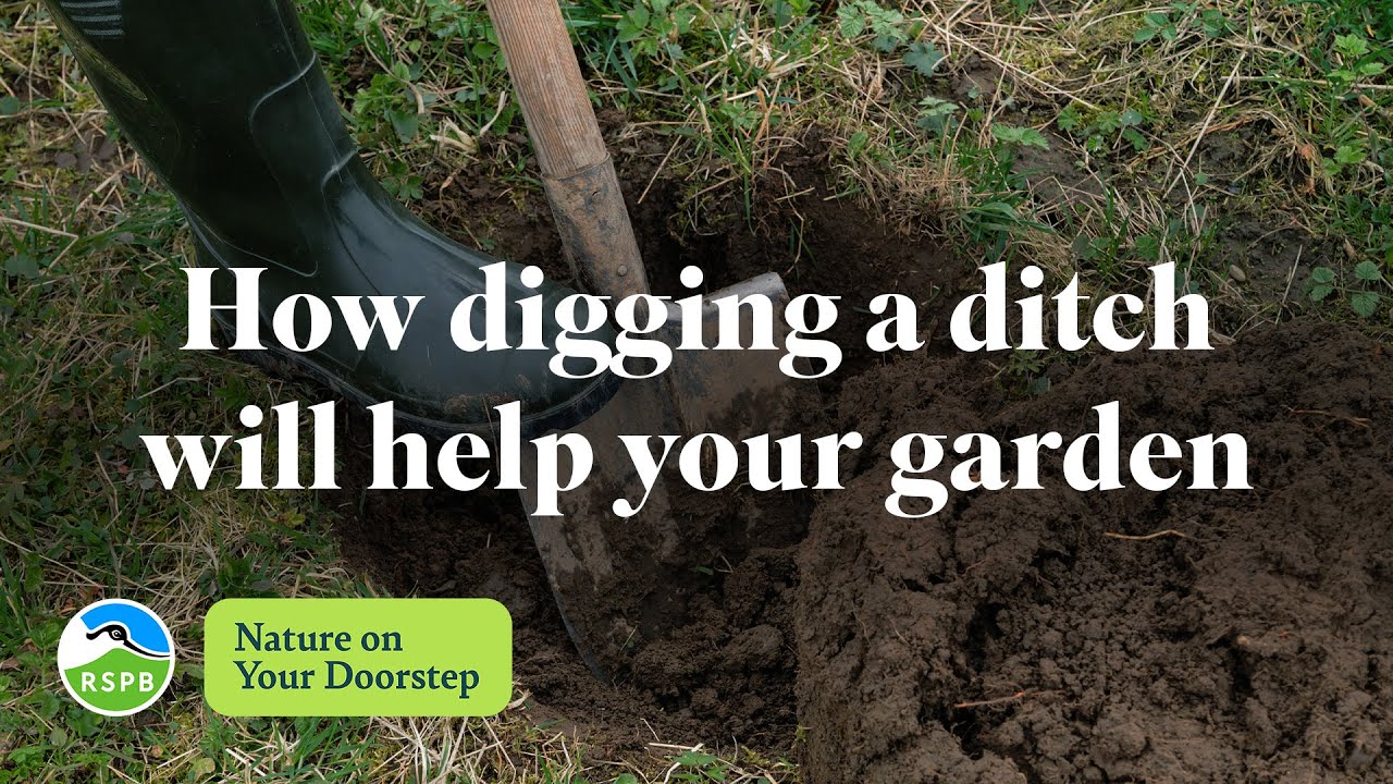 How digging a ditch will help your garden RSPB Nature on Your