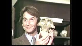 Shadow  chasers 1x1 pilot