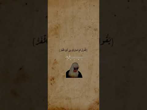 تلاوة تأسر القلب زكي داغستاني