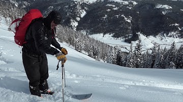Step Back, Ski Low Angle Powder - Bacon Rind - 12 January 2021