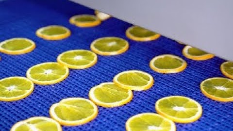 Grote Fresh Produce Slicer