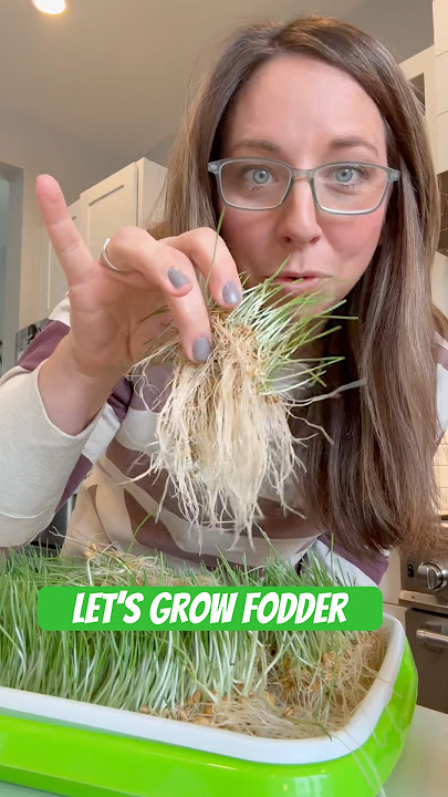 Do you grow fodder?!