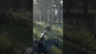 Wolves and Bears        #rdr2 #animals #hunting #bullet #xbox