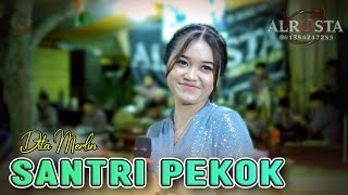 Santri Pekok ( Dita Merlin ) - ALROSTA DONGKREK - Duta Putra Audio