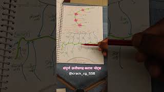 संपूर्ण छत्तीसगढ़ क्लास नोट्स CG Forest, cg Fireman, cgssc cg psc , cg all exam#cgshorts #cgviral