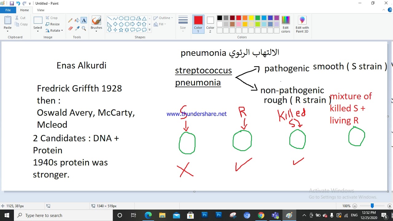 Chapter 16 : N.A and Inheritance 1 - YouTube