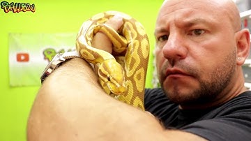 The Ultramel Project