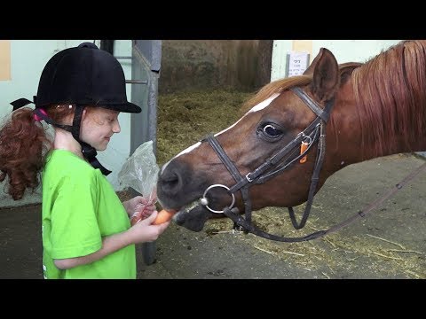 Видео: Конные игры в уроки верховой езды для развлечения и обучения