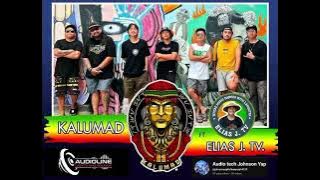bolivias riddim by bagani | elias j. Tv. And kalumad Band cover | reggae version | (Audio only)