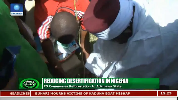 FG Commences Reforestation In Adamawa State