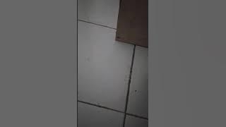 Latihan Sholawat Ya Allah Ya subhani | Syeh Abdul Qodir