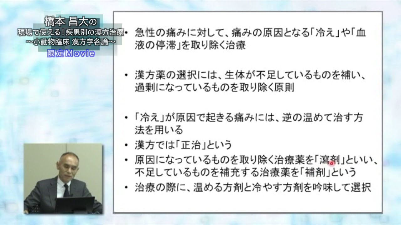 現場で使える！疾患別の漢方治療～小動物臨床 漢方学各論～ | 医療情報