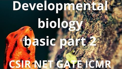 Developmental biology basics part 2| induction and competence| Saini learning classes