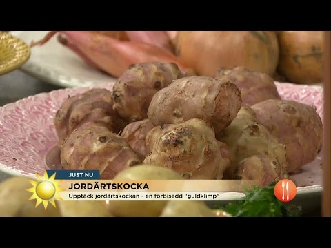 Video: Hur Man Lagar Jordärtskocka