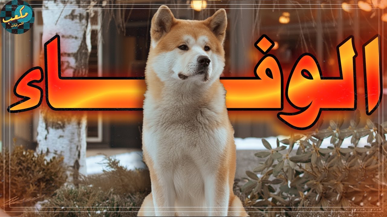 ازاي الكلب ده فضل مستني صاحبه عشر سنين بعد ما مات  - فيلم Hachi: A Dog's Tale
