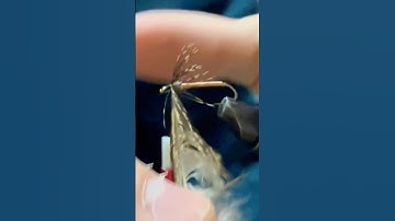 Simple Soft Hackle! #flies #flytying #flyfishing