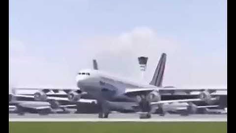 Plane dancing with bird ✈️✈️. full video