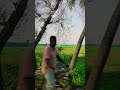আমার অভিমান #song #coversong #music #shortvideo