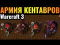    warcraft 3 reforged all the random    