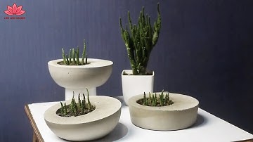 Tự Làm Chậu Trồng Cây Bằng Xi Măng