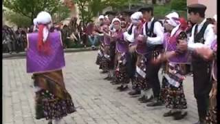 MESUDİYE 19 MAYIS ETKİNLİKLERİ KEKLİĞİMİN CÜCÜĞÜ