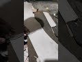 Highlight live