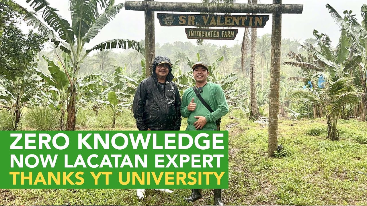 How He Mastered Lacatan Farming Kahit Zero Knowledge, Salamat sa YouTube University!