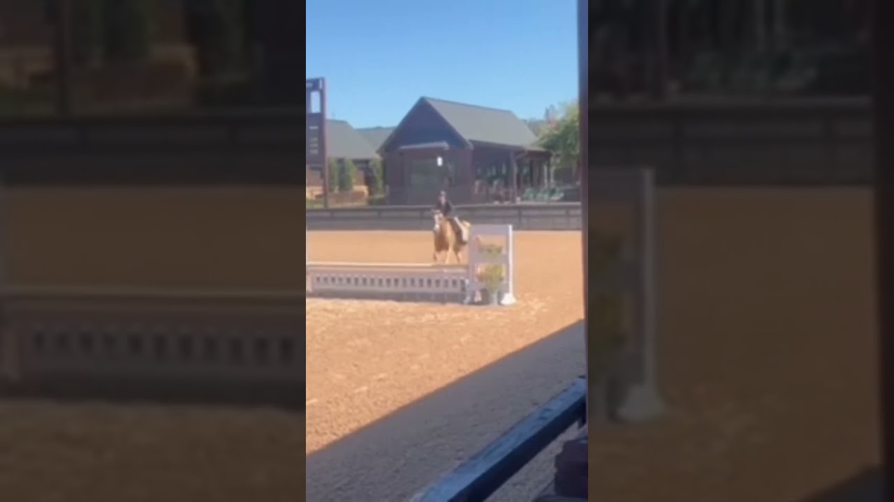 So proud of the baby pony, QOTD: fav riding brand? Me- tailored sportsman! 💎