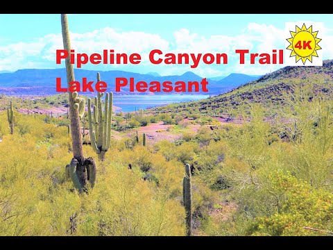 Vídeo: Guia de Lake Pleasant's Pipeline Canyon Trail