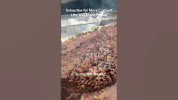 Buttermilk Brisket Subscribe Shorts Short Food Foodie Foodlover Bbq 