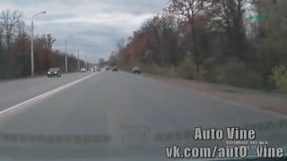 Auto vine №123