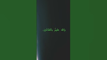القاريء/ عبدالرشيد شيخ علي. ماتيسر من سورة البقره.