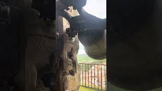 Volteo general de campanas en dicastillo por Domingo de Ramos (Navarra)