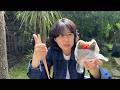 初夏のお庭ピクニック。平和ではない