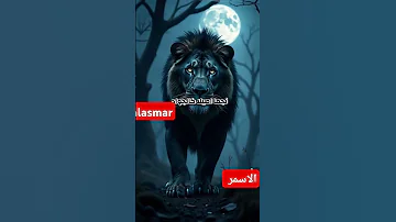 درست في الدنياء علئ يد الظروف الحب والاصحاب ولاقارب والزمن اكسبلور 