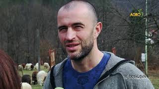 картинка: Те победиха: За едно щастливо младо семейство, автор: Валентина Спасова