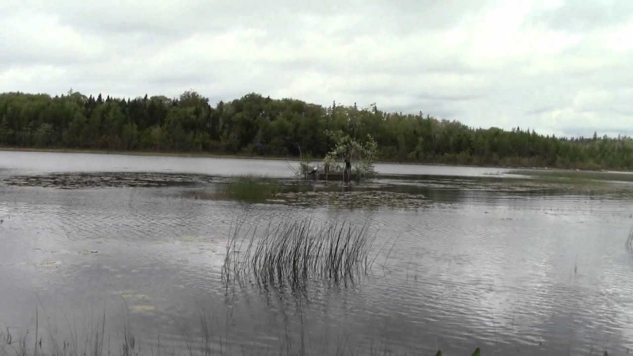 How To Build A Duck Blind In 1 Minute YouTube