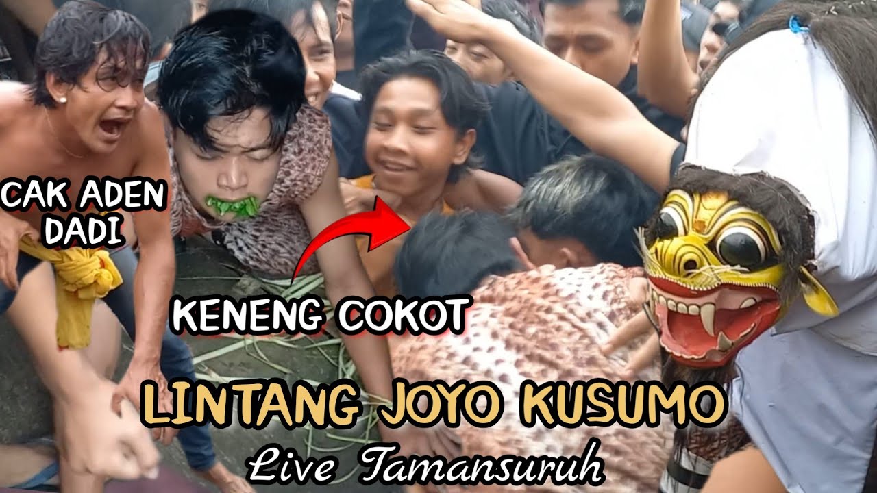 Macan Macanan Seni Jaranan Lintang Joyo Kusumo Live Tamansuruh Banyuwangi 